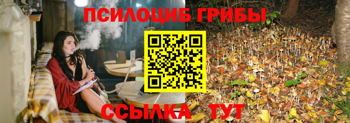 Псилоцибиновые грибы прущие грибы  Вход с VPN  Балтийск 