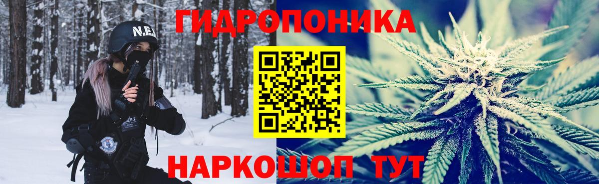 Балтийск  Бошки марихуана OG Kush  Шишки марихуана сатива  Бошки марихуана Bruce Banner  Вход с VPN  Марихуана планчик 